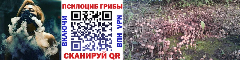 Купить  Шимановск  Псилоцибиновые грибы MAGIC MUSHROOMS 